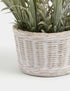 Marks & Spencer "Artificial Lavender Plant in Resin Wicker Pot"